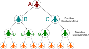 Binary MLM structure