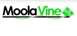 Moola Vine logo 