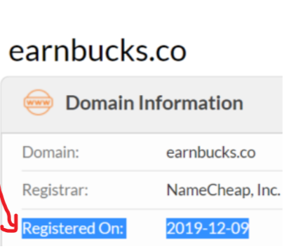 EarnBucks domain age