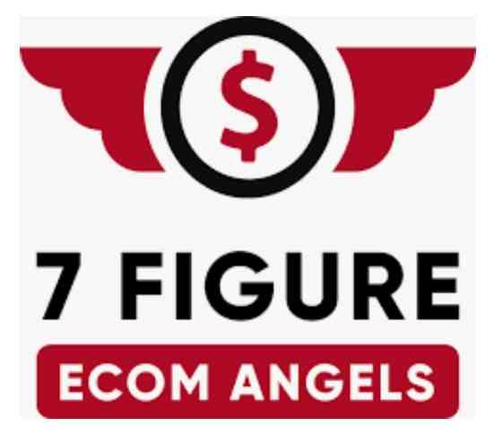 7 Figure Ecom Angels logo