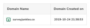SurveyJunkies domain age