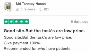 Rapidworkers good review 
